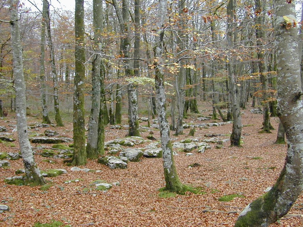 Apartamento Sueve 20 Colunga Exteriér fotografie